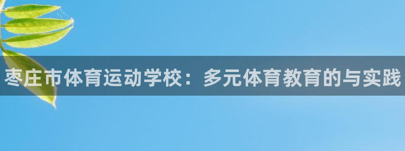 oety欧亿体育官网下载招商电话地址查询:枣庄市体育运动学校