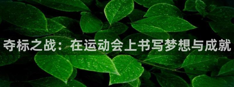 欧亿体育官方正版app集团官网首页网址:夺标之战:在运动会上