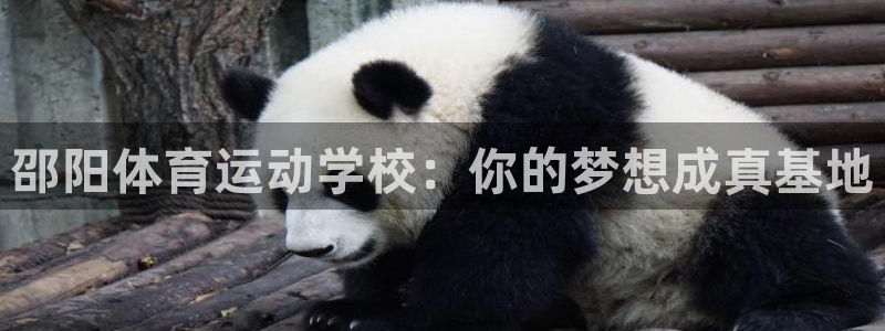 oety欧亿体育官网下载平台注册:邵阳体育运动学校:你的梦想